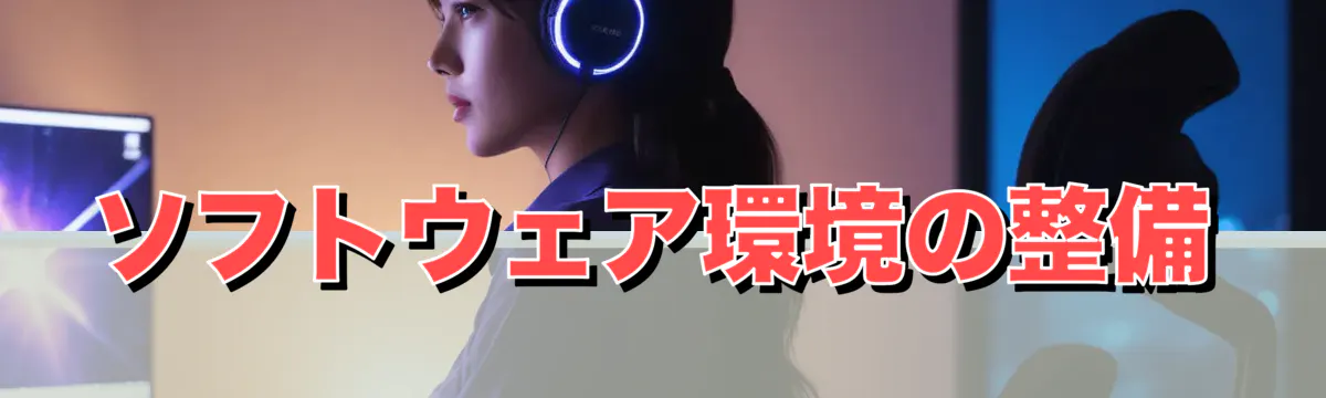 ソフトウェア環境の整備
